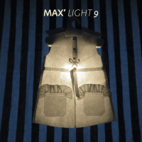 LUMINAIRE MAX' LIGHT 9