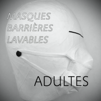 WASABLE BARRIER MASQUES FOR ADULTS